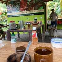 North Fields Coffee and Chocolate Tour in Costarica 