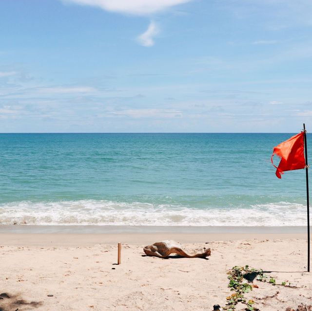 หาดบางเทา