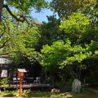 Akamine Camping Ground：綠意滿溢，親近自然的露營樂趣