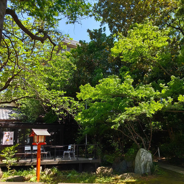 Akamine Camping Ground：綠意滿溢，親近自然的露營樂趣