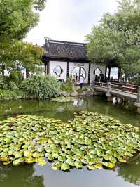 Discovering the Serenity of Hangzhou's West Lake