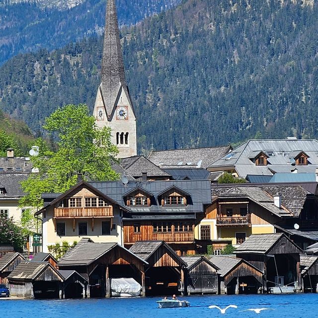 [オーストリア]湖畔でたべるオーストリア料理[Schirmbar Hallstatt]