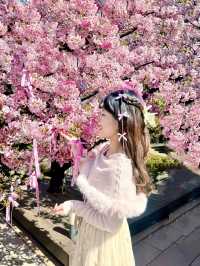 🎀リボン×桜🌸 の組み合わせが最強に可愛い神社⛩