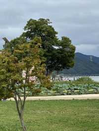 푸른 여름의 풍성한 자연을 느껴보실 수 있는 💚 경기도 양평 근교 여행 추천 🌳