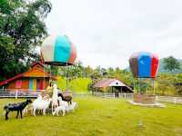 🌳The Banyan Leaf Resort