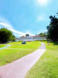 Peaceful Greenery Escape at Fort Canning Park