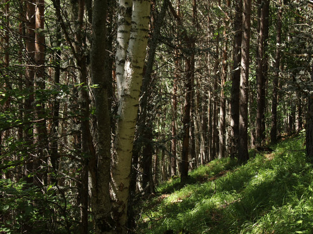 保加利亞里拉山脈驚險的行山旅程