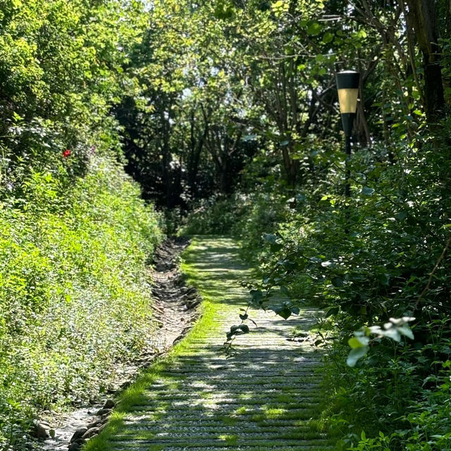 🌲 棲蘭森林遊樂區～自然風光滿滿