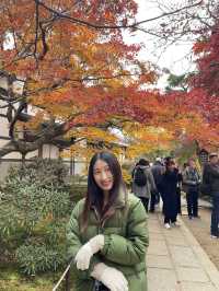 ใบไม้เปลี่ยนสีที่ Jojakkoji Temple Kyoto