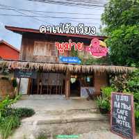 คาเฟ่วังเวียง : พูม่าย