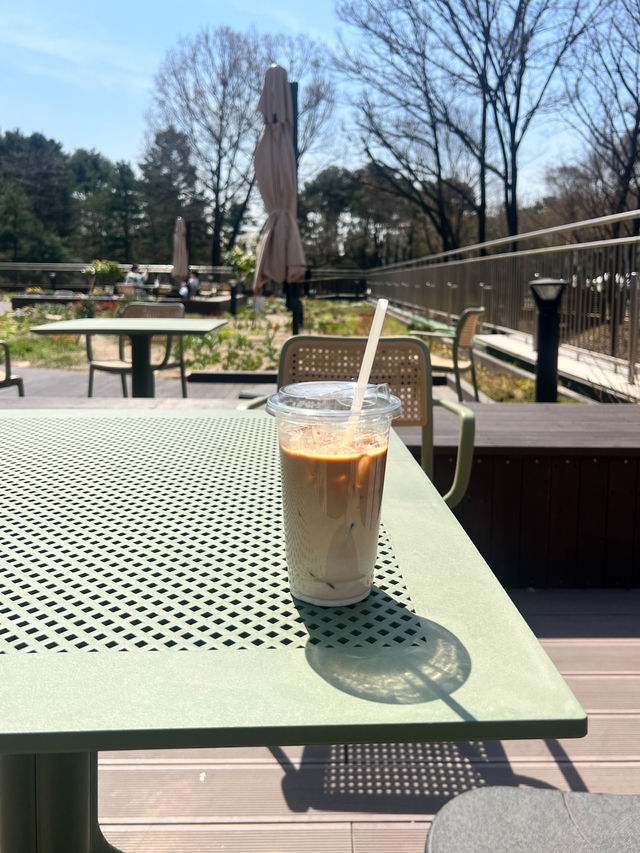【ソウル／汝矣島】漢江公園でのんびりお散歩