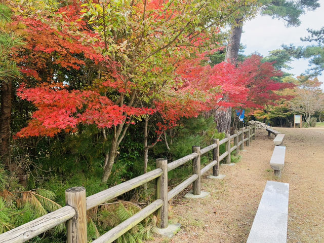 小豆島　寒霞渓