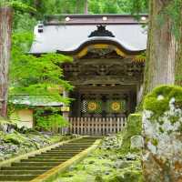 八阪神社：歷史文化的交匯點 ⛩️🌸