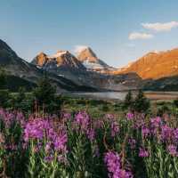 Mount Assiniboine