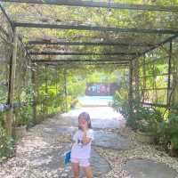 เที่ยวได้ทั้งปี ที่นี่ เขาใหญ่