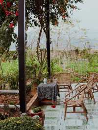 The plum blossom season in Moc Chau, Vietnam