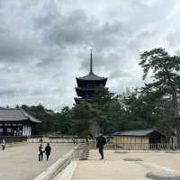 Nara Park: A Journey Through Japan’s Ancient Heart