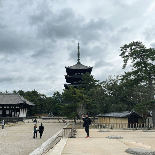Nara Park: A Journey Through Japan’s Ancient Heart