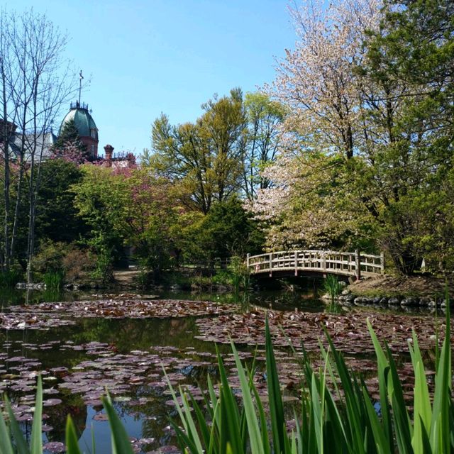 北海道大學植物園