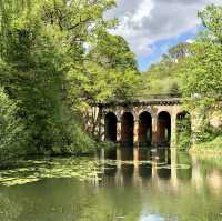Nature’s Escape in Urban London