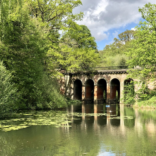 Nature’s Escape in Urban London