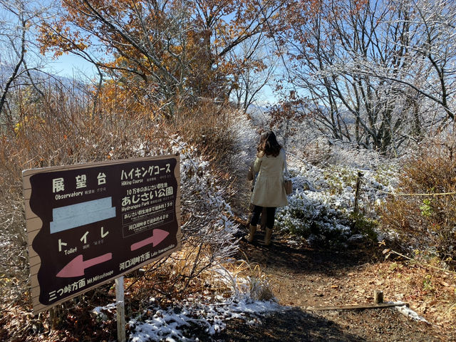 🇯🇵 富士山河口湖全景觀賞方法