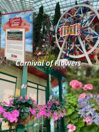 🇸🇬Join the Carnival of Flowers in Flower Dome Singapore ! 