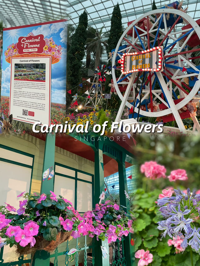 🇸🇬Join the Carnival of Flowers in Flower Dome Singapore ! 