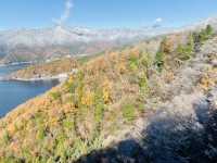 🇯🇵 富士山河口湖全景觀賞方法