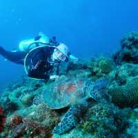 Embracing nature under the sea 🐢 