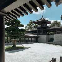 Tsz Shan Monastery 🙏🏻