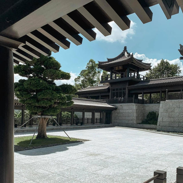 Tsz Shan Monastery 🙏🏻