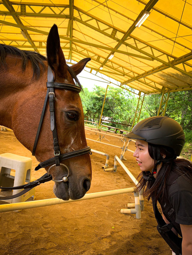 【岐阜】初心者でも◎ 大自然で乗馬体験しよう🐎