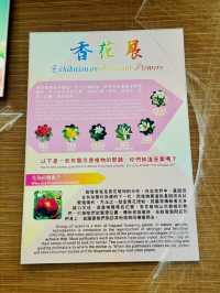 【金鐘】香港公園：期間限定香花展覽