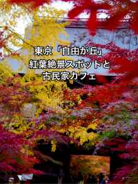 【東京 自由が丘】紅葉絶景スポットと古民家カフェ