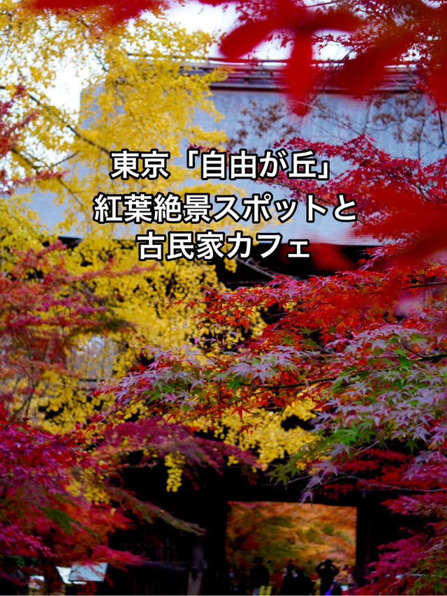 【東京 自由が丘】紅葉絶景スポットと古民家カフェ
