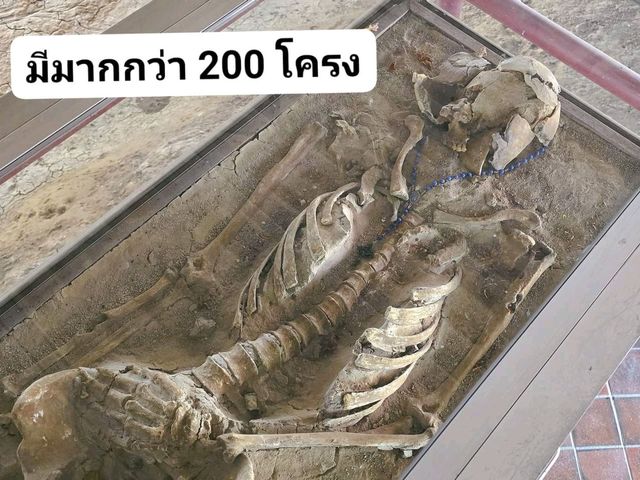 หมู่บ้านโบราณ พิพิธภัณฑ์ โปรตุเกส นิทรรศกาลถาวร