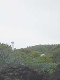 小笠原諸島｜フェリー2時間30分、母島1day trip🚢