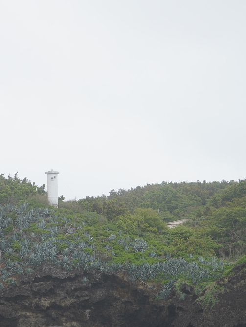 小笠原諸島｜フェリー2時間30分、母島1day trip🚢