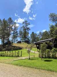 Glamping with Fantastic view of Toba Lake 