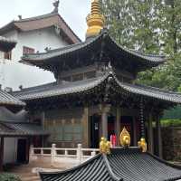 清涼寺：禪意滿滿靜謐之所 🍃🕊️
