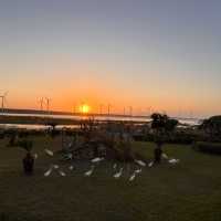 Explore the beauty of Gaomei Wetland Taichung