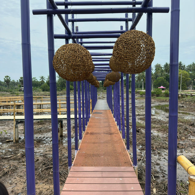 Snap-Worthy Scenery: Exploring the Beauty of Paina Nara!