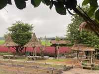 สวนดอกไม้สวย สวนลุงเวศน์