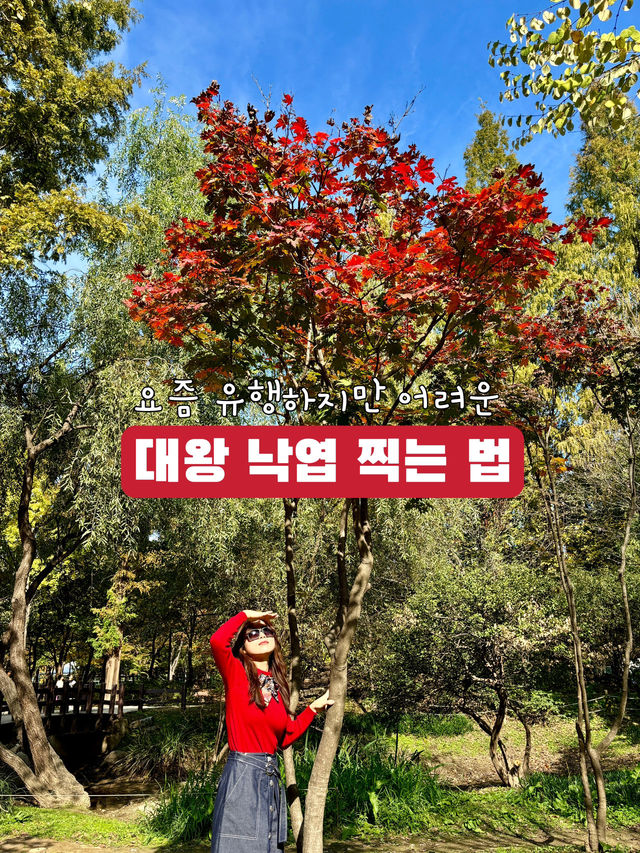 할미 주목👵요즘 MZ는 이렇게 사진 찍는다며?