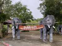 ป่าในเมือง ประตูสู่อันดามัน🐘