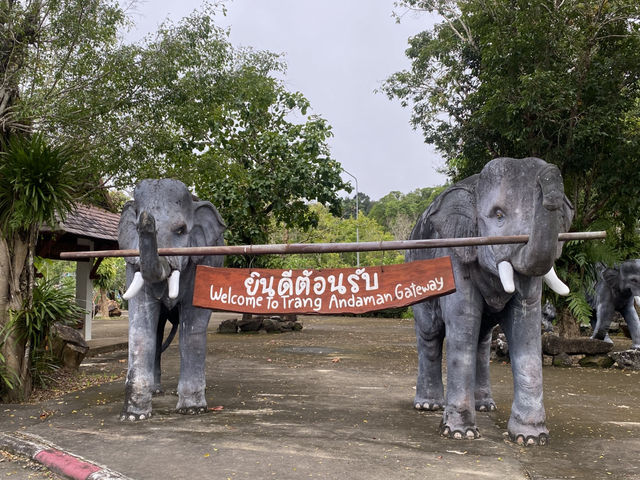 ป่าในเมือง ประตูสู่อันดามัน🐘