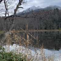 Rewarding sights at Shiretoko Five Lakes morning walk late autumn