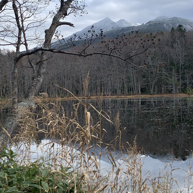 Rewarding sights at Shiretoko Five Lakes morning walk late autumn