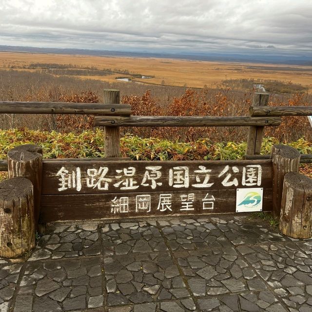 釧路湿原に行ってきました〜!